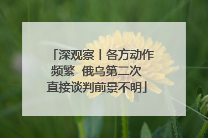 深观察丨各方动作频繁  俄乌第二次直接谈判前景不明