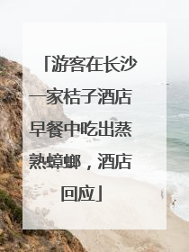 游客在长沙一家桔子酒店早餐中吃出蒸熟蟑螂，酒店回应
