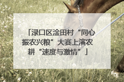 渌口区淦田村“同心振农兴粮”大赛上演农耕“速度与激情”