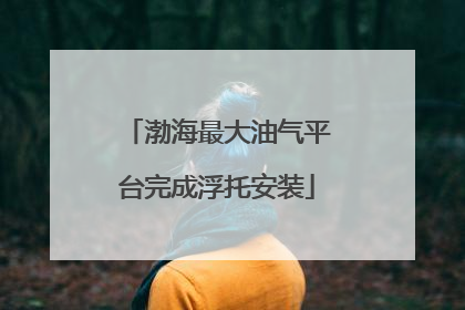 渤海最大油气平台完成浮托安装