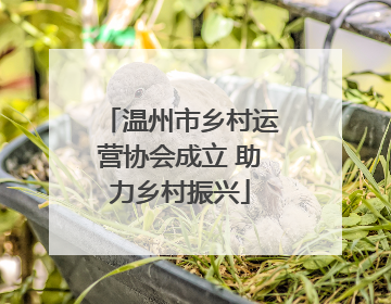 温州市乡村运营协会成立 助力乡村振兴