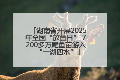 湖南省开展2025年全国“放鱼日” 7200多万尾鱼苗游入“一湖四水”