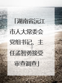 湖南省沅江市人大常委会党组书记、主任孟智勇接受审查调查