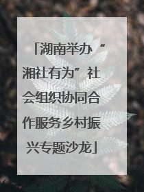 湖南举办“湘社有为”社会组织协同合作服务乡村振兴专题沙龙