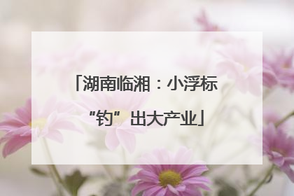 湖南临湘：小浮标“钓”出大产业