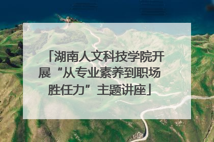 湖南人文科技学院开展“从专业素养到职场胜任力”主题讲座