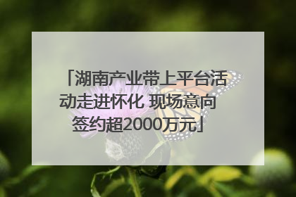 湖南产业带上平台活动走进怀化 现场意向签约超2000万元