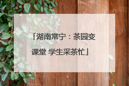 湖南常宁：茶园变课堂 学生采茶忙