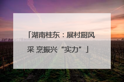 湖南桂东：展村厨风采 烹振兴“实力”