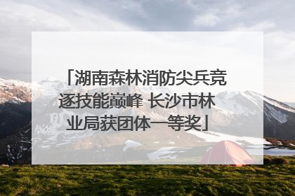 湖南森林消防尖兵竞逐技能巅峰 长沙市林业局获团体一等奖