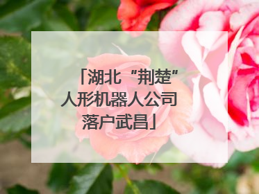 湖北“荆楚”人形机器人公司落户武昌