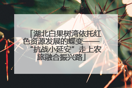 湖北白果树湾依托红色资源发展的蝶变——“抗战小延安”走上农旅融合振兴路