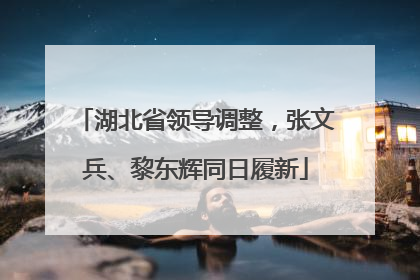 湖北省领导调整，张文兵、黎东辉同日履新