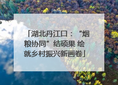 湖北丹江口：“烟粮协同”结硕果 绘就乡村振兴新画卷
