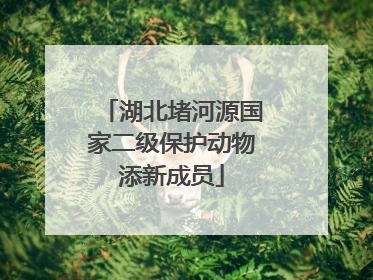湖北堵河源国家二级保护动物添新成员