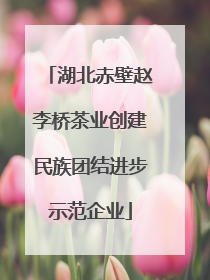 湖北赤壁赵李桥茶业创建民族团结进步示范企业