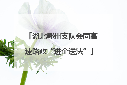 湖北鄂州支队会同高速路政“进企送法”