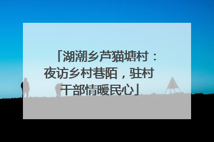 湖潮乡芦猫塘村：夜访乡村巷陌，驻村干部情暖民心