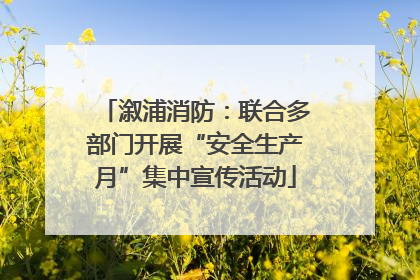 溆浦消防：联合多部门开展“安全生产月”集中宣传活动