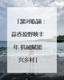 漯河临颍：蒜香盈野映丰年 机械赋能兴乡村