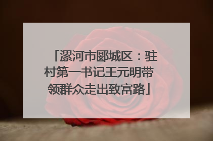 漯河市郾城区：驻村第一书记王元明带领群众走出致富路