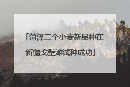 菏泽三个小麦新品种在新疆戈壁滩试种成功