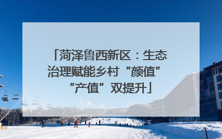 菏泽鲁西新区：生态治理赋能乡村“颜值”“产值”双提升