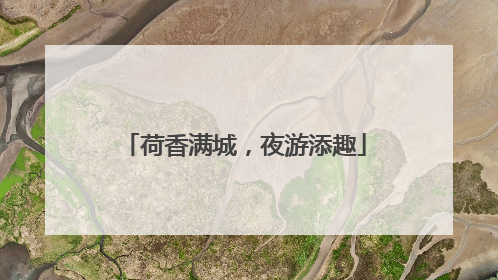 荷香满城，夜游添趣