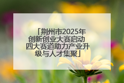 荆州市2025年创新创业大赛启动 四大赛道助力产业升级与人才集聚
