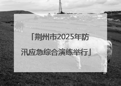 荆州市2025年防汛应急综合演练举行