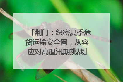 荆门：织密夏季危货运输安全网，从容应对高温汛期挑战