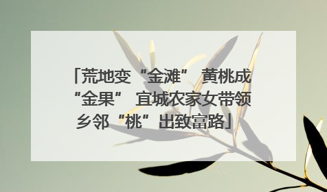 荒地变“金滩” 黄桃成“金果” 宜城农家女带领乡邻“桃”出致富路