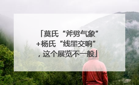 莫氏“斧劈气象”+杨氏“线墨交响”，这个展览不一般