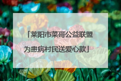 莱阳市菜哥公益联盟为患病村民送爱心款