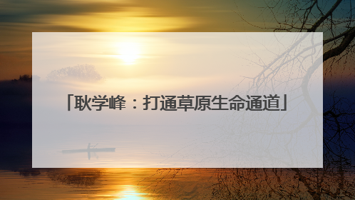耿学峰：打通草原生命通道