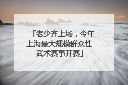 老少齐上场，今年上海最大规模群众性武术赛事开赛
