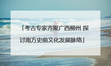 考古专家齐聚广西柳州 探讨南方史前文化发展脉络