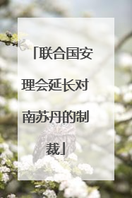 联合国安理会延长对南苏丹的制裁