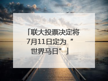 联大投票决定将7月11日定为“世界马日”