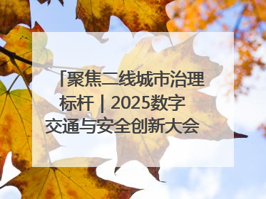 聚焦二线城市治理标杆｜2025数字交通与安全创新大会在保定隆重开幕