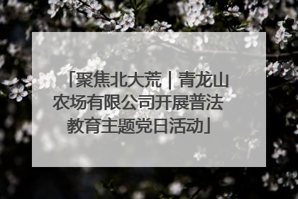聚焦北大荒｜青龙山农场有限公司开展普法教育主题党日活动