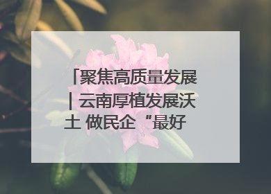 聚焦高质量发展｜云南厚植发展沃土 做民企“最好合伙人”