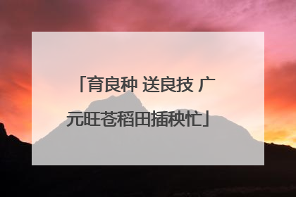 育良种 送良技 广元旺苍稻田插秧忙
