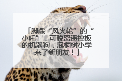 脚踩“风火轮”的“小吒”，可脱离遥控板的机器狗，泡桐树小学来了新朋友！