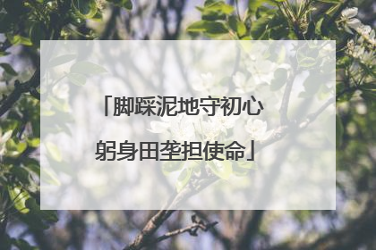 脚踩泥地守初心 躬身田垄担使命