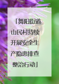 舞阳街道山民村持续开展安全生产隐患排查整治行动