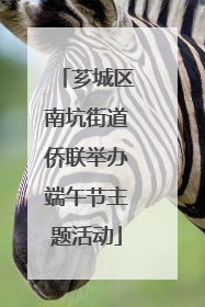 芗城区南坑街道侨联举办端午节主题活动