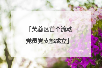 芙蓉区首个流动党员党支部成立
