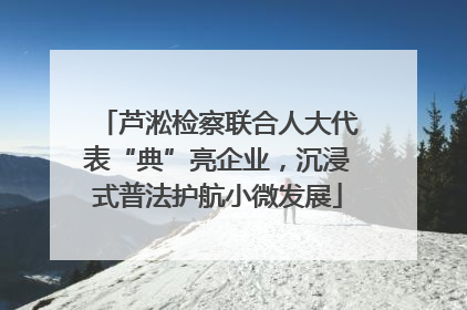 芦淞检察联合人大代表“典”亮企业，沉浸式普法护航小微发展