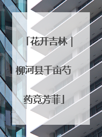 花开吉林｜柳河县千亩芍药竞芳菲